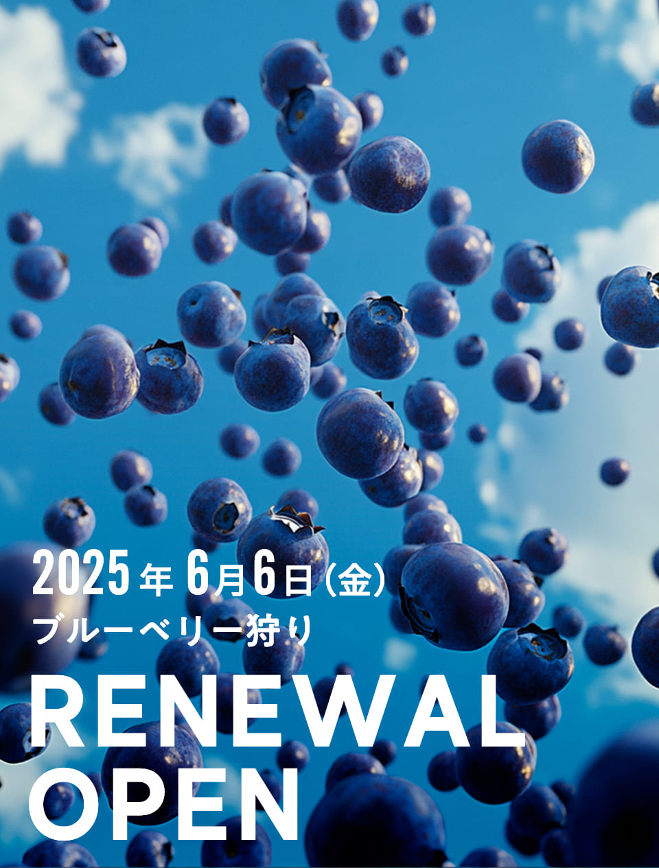 renewal opnen