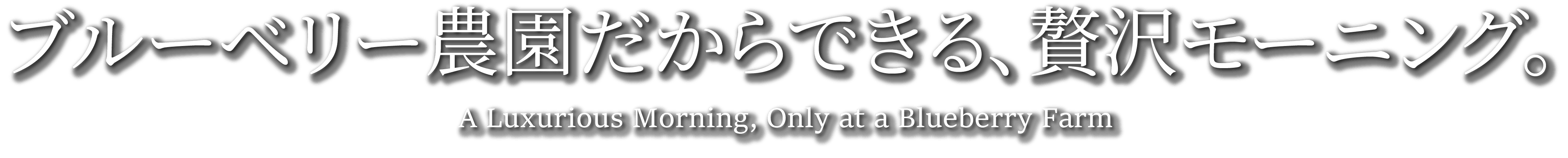 ブルーベリー農園だからできる、贅沢モーニング。