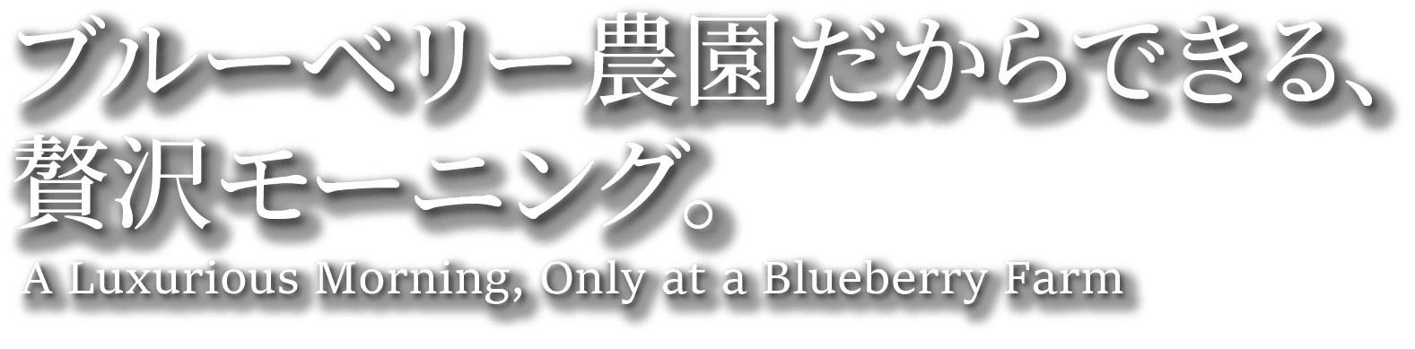 ブルーベリー農園だからできる、贅沢モーニング。