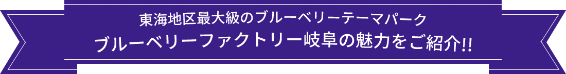 東海地区最大級のブルーベリーテーマパーク。ブルーベリーファクトリー岐阜の魅力をご紹介！！