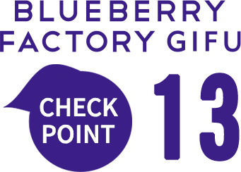 BLUEBERRY FACTORY GIFU CHECK POINT 13