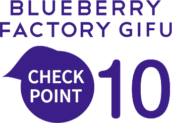 BLUEBERRY FACTORY GIFU CHECK POINT 10