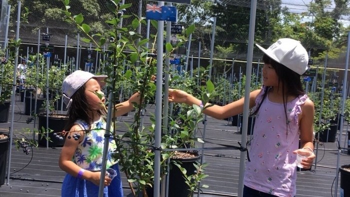 当日予約OK！お気軽にご連絡ください♪