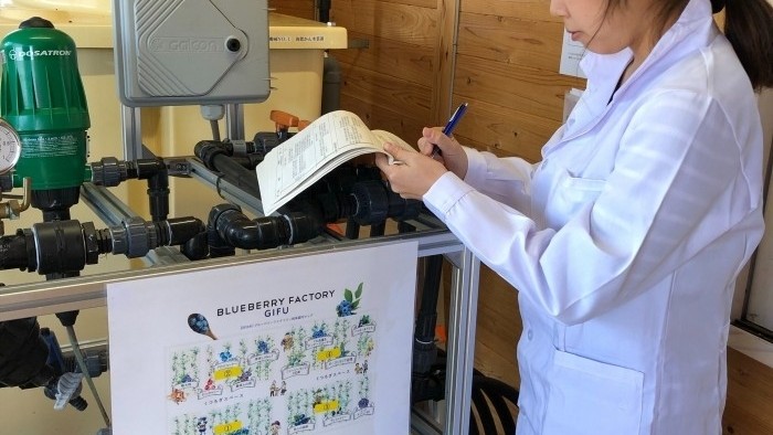 JGAP内部監査を行いました