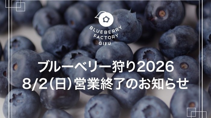 2026年のブルーベリー狩りは8月2日をもって終了となります
